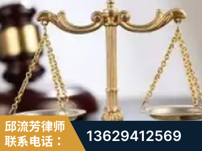 石嘴山-委托诉讼代理人出庭